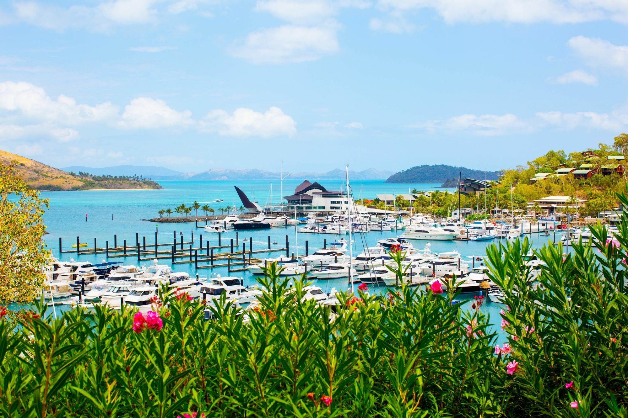 Palm Bungalows Hamilton Island Kültér fotó