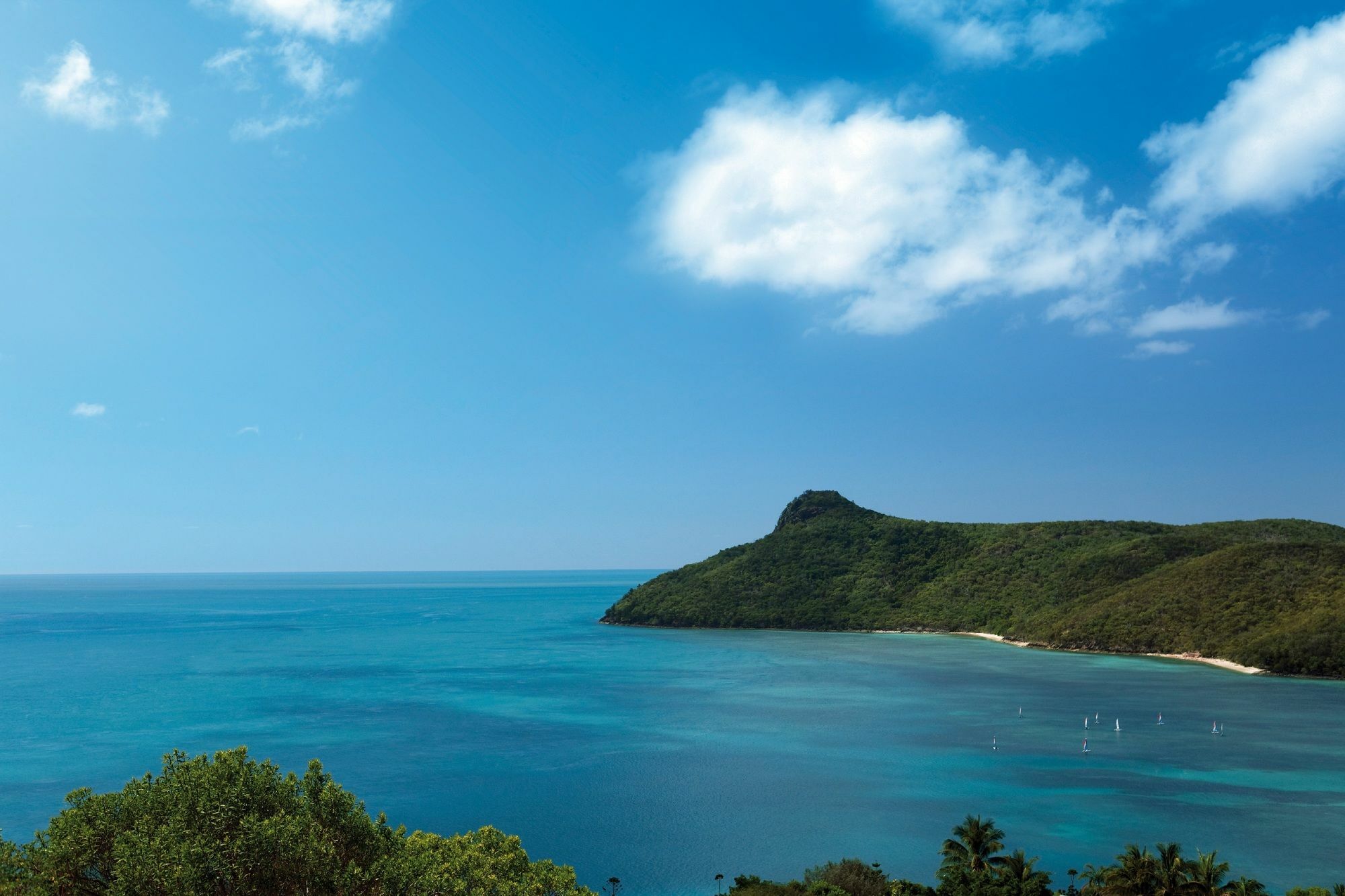 Palm Bungalows Hamilton Island Kültér fotó