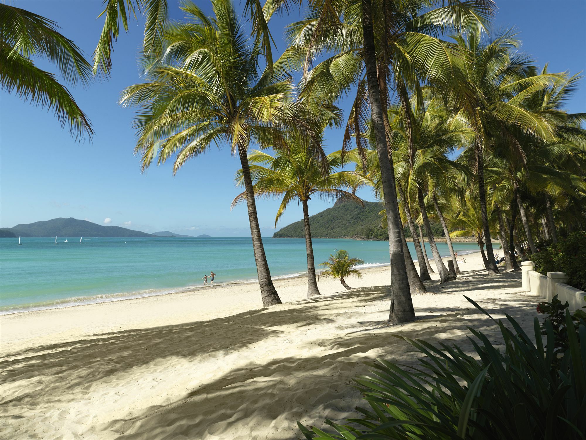 Palm Bungalows Hamilton Island Kültér fotó