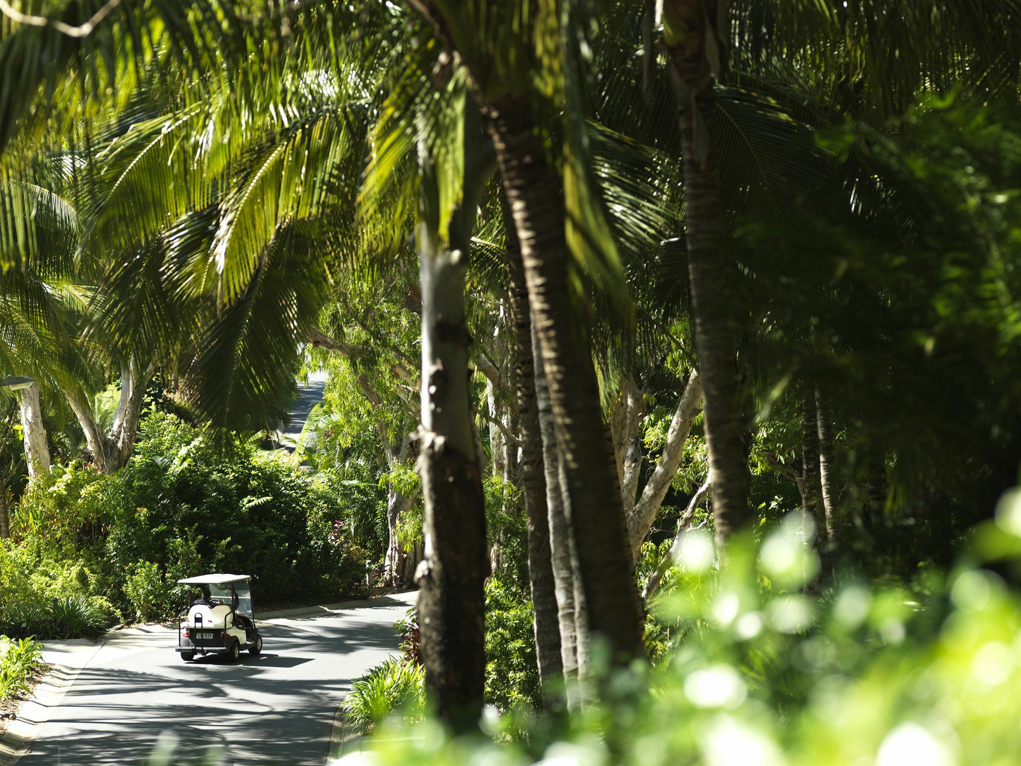 Palm Bungalows Hamilton Island Kültér fotó